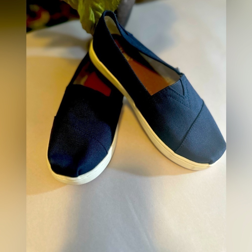 TOMS Unisex-child Seasonal Classic Alpargata Navy Canvas Youth Size 2